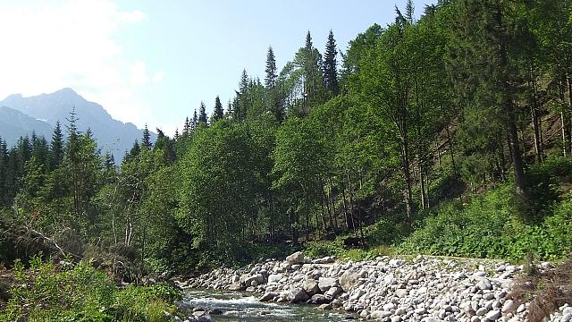 Tatry08