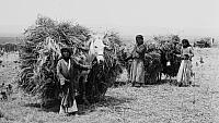 Bringing in the sheaves