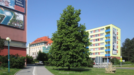 Boleslav12