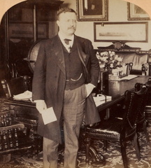 Oldtime081 - President Theodore Roosevelt in his office-the Cabinet Room, White House, Washington, U.S.A.