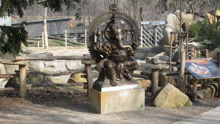Zoo47